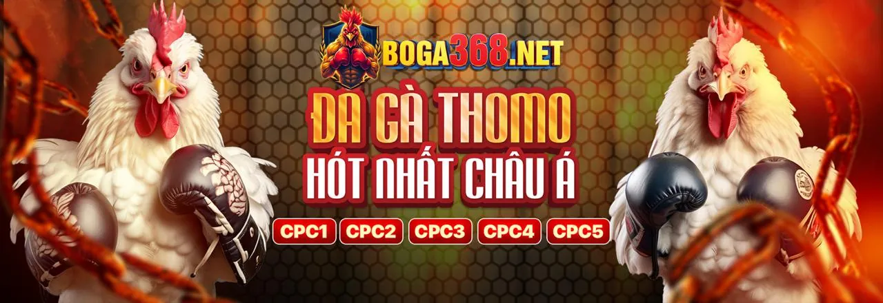 Lý do cần i9bet100 link mới