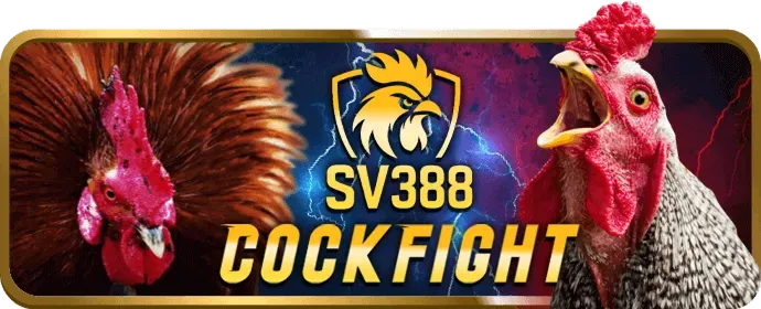 Chương trình VIP i9bet100